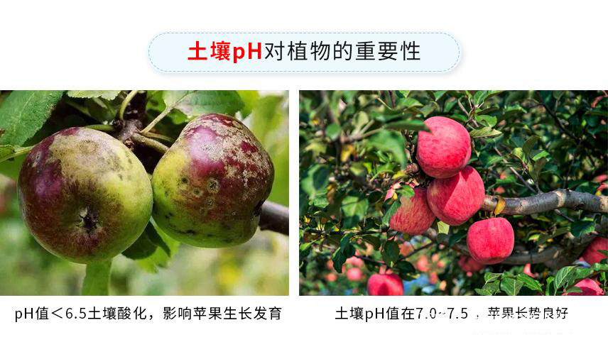 ph苹果版(phigros官方下载苹果)